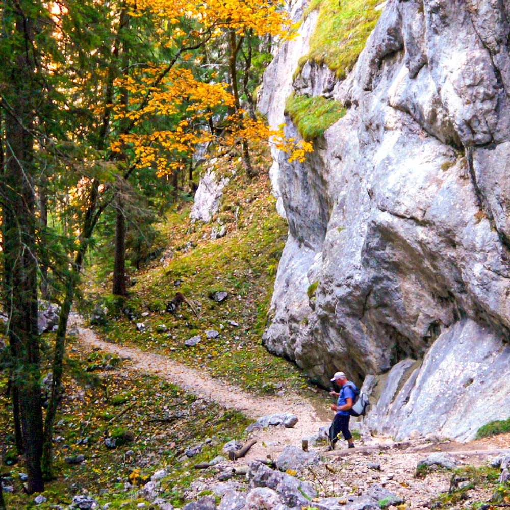 Alpasteig zur Neuen Traunsteiner Hütte auf der Reiteralpe