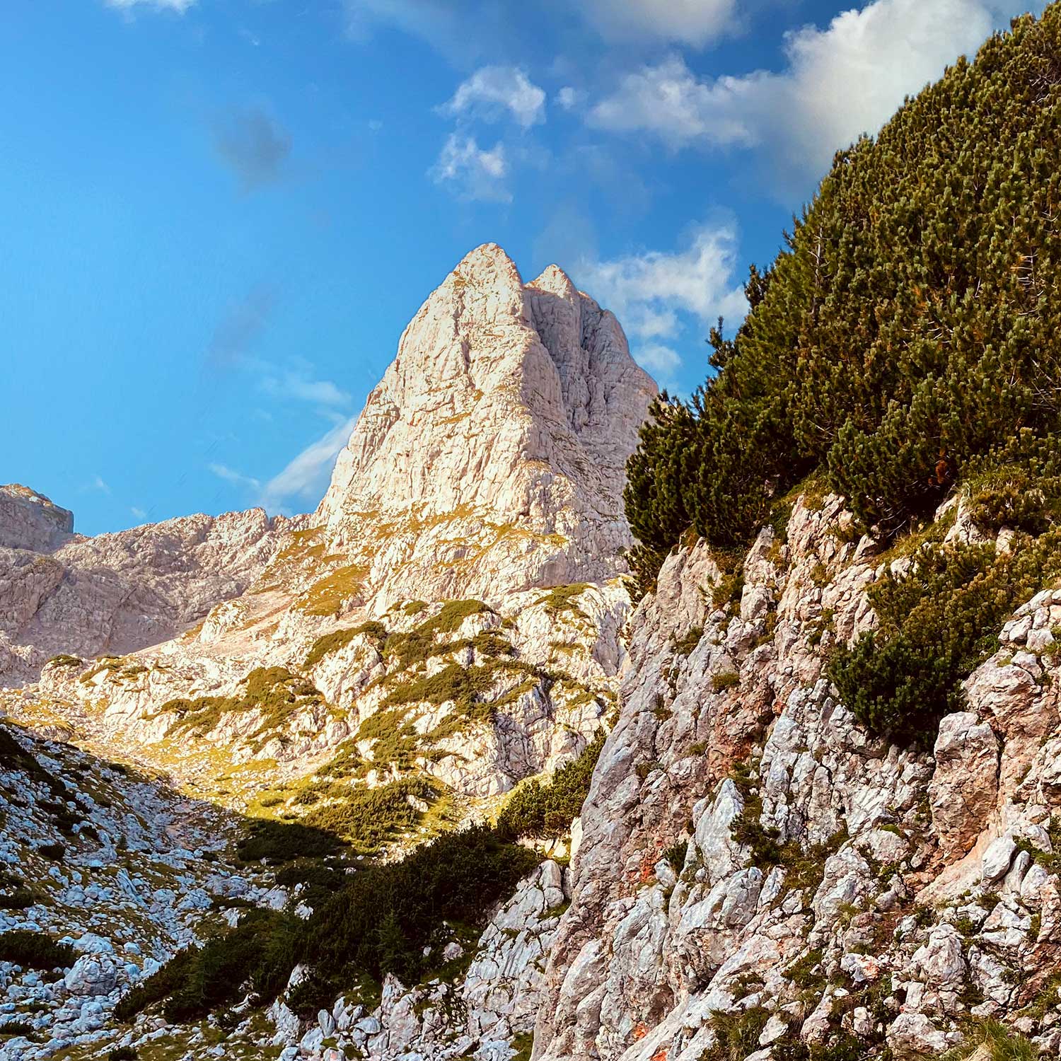 Großes Häuselhorn © Julia Jobst